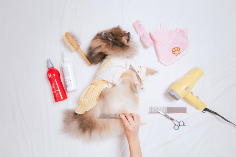Europe Grooming Products Export Compliance
