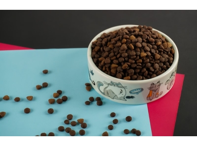 Custom Design Melamine Pet Feeding Bowl